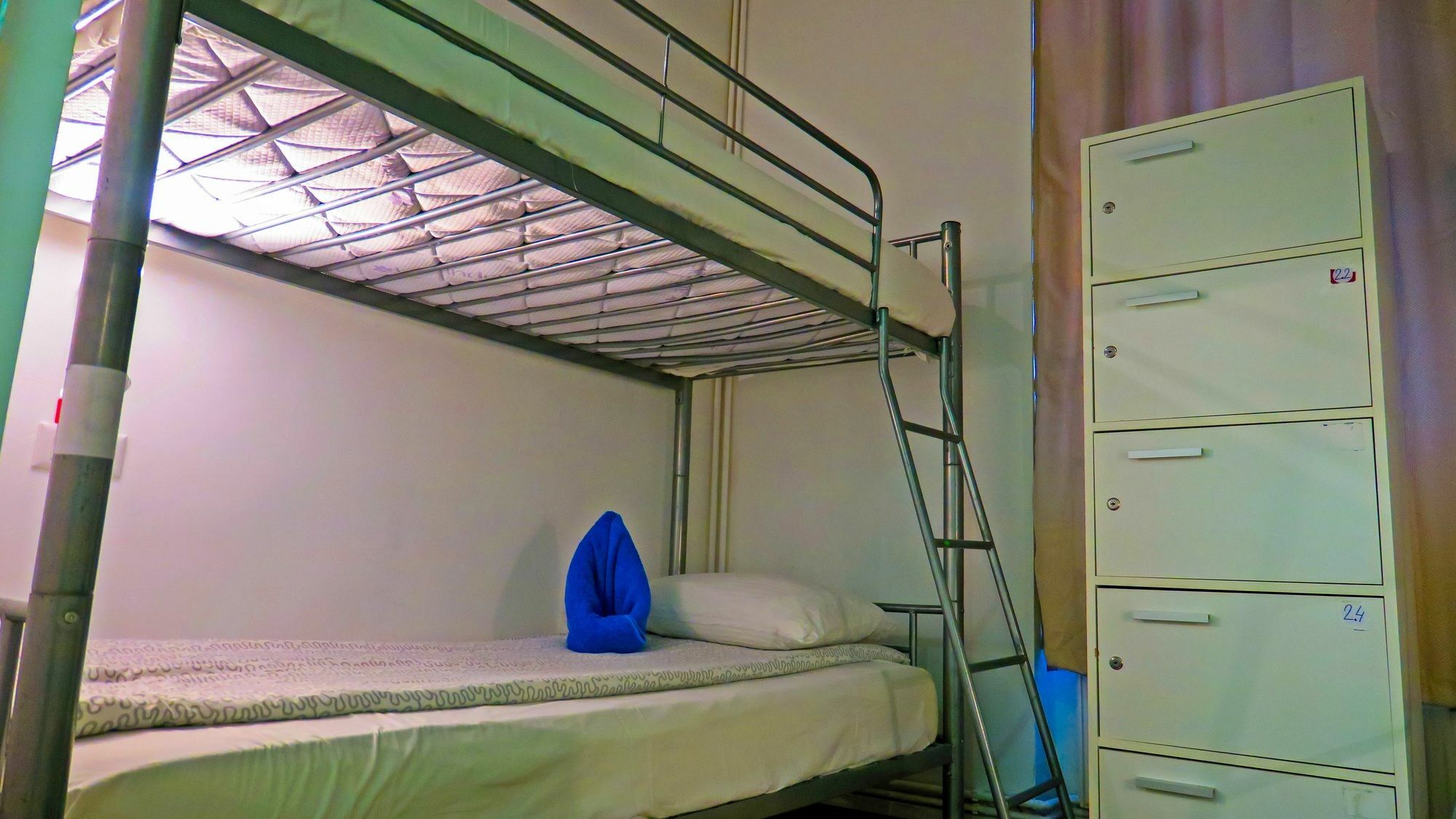 The Evil Clown Hostel 布拉索夫 外观 照片